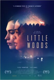 دانلود فیلم Little Woods 201822292-1681454440