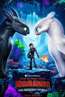 دانلود انیمه How to Train Your Dragon: The Hidden World 201919855-1008496960