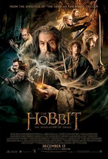 دانلود فیلم The Hobbit: The Desolation of Smaug 2013196262-1643088421