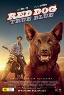 دانلود فیلم Red Dog: True Blue 20168899-2108480525