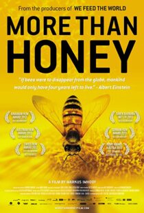 دانلود مستند More Than Honey 201240978-1877766124