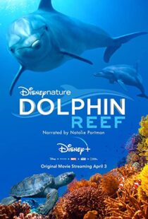 دانلود مستند Dolphin Reef 201838724-1513766411