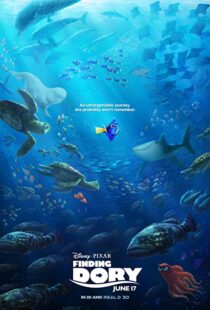 دانلود انیمیشن Finding Dory 201658678-374145784