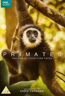 دانلود مستند Primates77865-454216771