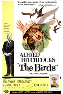 دانلود فیلم The Birds 196382372-1785773301