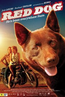 دانلود فیلم Red Dog 201187414-954373618