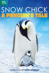 دانلود مستند Snow Chick: A Penguin’s Tale 2015109604-106192803