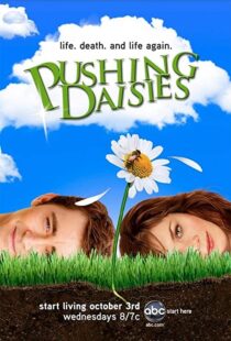 دانلود سریال Pushing Daisies112137-1315269532
