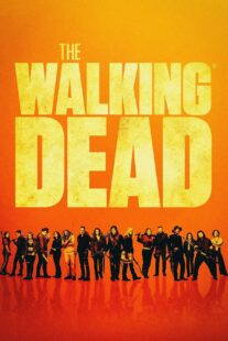 دانلود سریال The Walking Dead20547-1996276207
