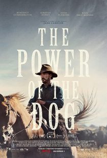 دانلود فیلم The Power of the Dog 202183875-2008231907