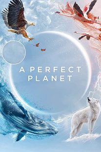 دانلود مستند A Perfect Planet231098-1307339894