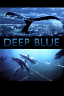 دانلود فیلم Deep Blue 2003333037-946286571