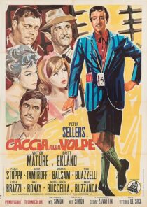 دانلود فیلم After the Fox 1966376229-771521818
