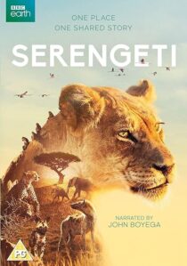 دانلود سریال Serengeti378761-1375503003
