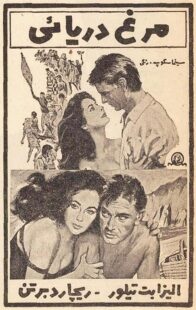 دانلود فیلم The Sandpiper 1965381611-1479493602