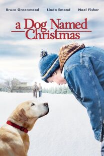 دانلود فیلم A Dog Named Christmas 2009389298-1796105353