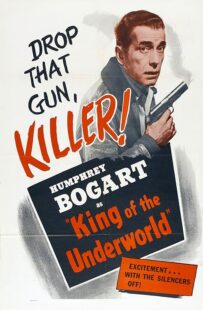 دانلود فیلم King of the Underworld 1939399475-199813478
