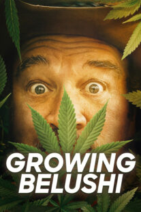 دانلود سریال Growing Belushi400424-1186037681