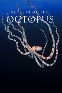 دانلود سریال Secrets of the Octopus401286-566768871