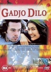 دانلود فیلم The Crazy Stranger 1997407241-1147890436