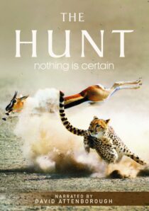 دانلود سریال The Hunt407007-1825265770