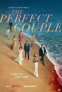 دانلود سریال The Perfect Couple409138-1211435047