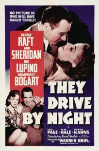 دانلود فیلم They Drive by Night 1940411221-395242902