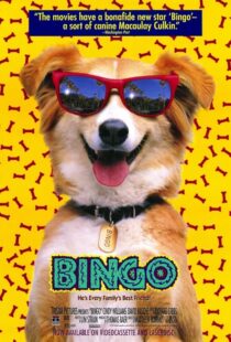 دانلود فیلم Bingo 1991417459-34409559
