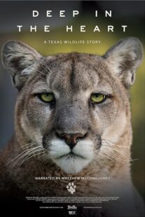 دانلود مستند Deep in the Heart: A Texas Wildlife Story 2022421545-974249945