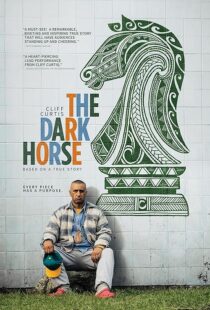 دانلود فیلم The Dark Horse 2014423794-1217484333