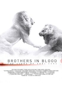 دانلود مستند Brothers in Blood: The Lions of Sabi Sand 2015424819-1703482018