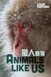 دانلود مستند Animals Like Us423066-205300422