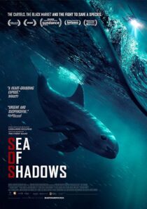 دانلود فیلم Sea of Shadows 2019427147-897904066