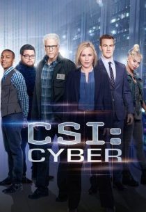 دانلود سریال CSI: Cyber428329-1308322172