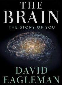 دانلود سریال The Brain with Dr. David Eagleman428613-1079204444