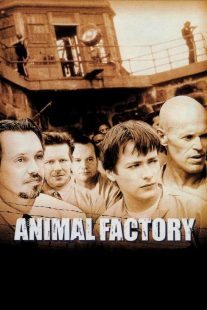 دانلود فیلم Animal Factory 2000430534-1353994011