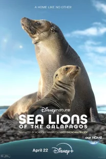 دانلود مستند Sea Lions of the Galapagos 2025431056-925507872